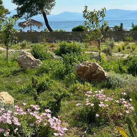 Vilă Sunbreeze-beachfront Luxury 5 Bed 4 Bath-sleeps 10 *