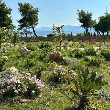 Vilă Sunbreeze-beachfront Luxury 5 Bed 4 Bath-sleeps 10 Potamion
