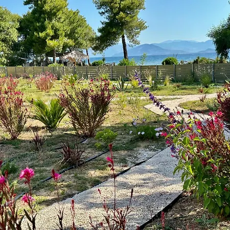 Sunbreeze-beachfront Luxury 5 Bed 4 Bath-sleeps 10 Vilă Potamion